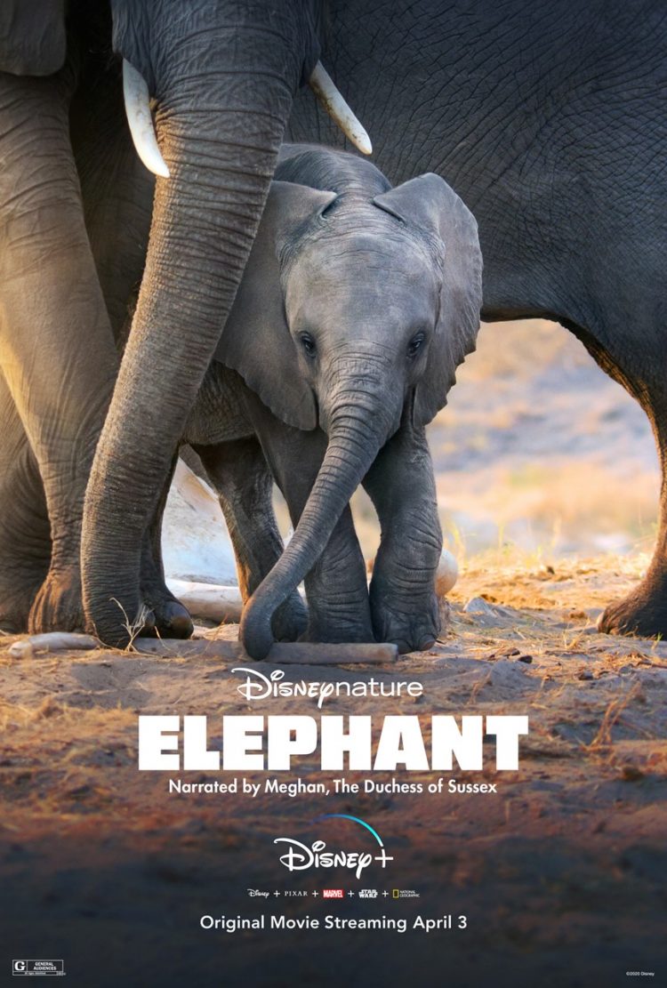 Disney Elephant