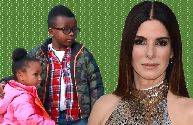 Sandra Bullock S Son Louis Today Canvas Groin