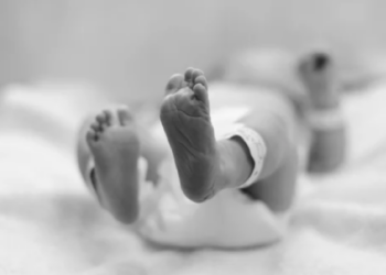 Photo Credit: Adobe Stock Images