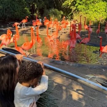 MARALEE NICHOLS SHARES RARE WEEKED PHOTOS OF HER SON THEO