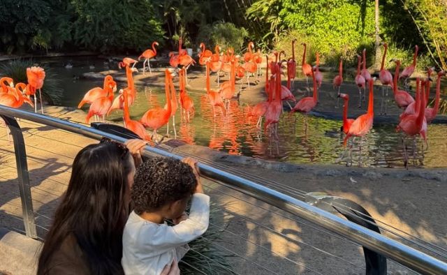 Photo Credit: Maralee Nichols Instagram