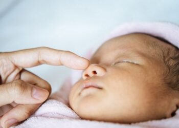 Photo Credit: Freepik.com